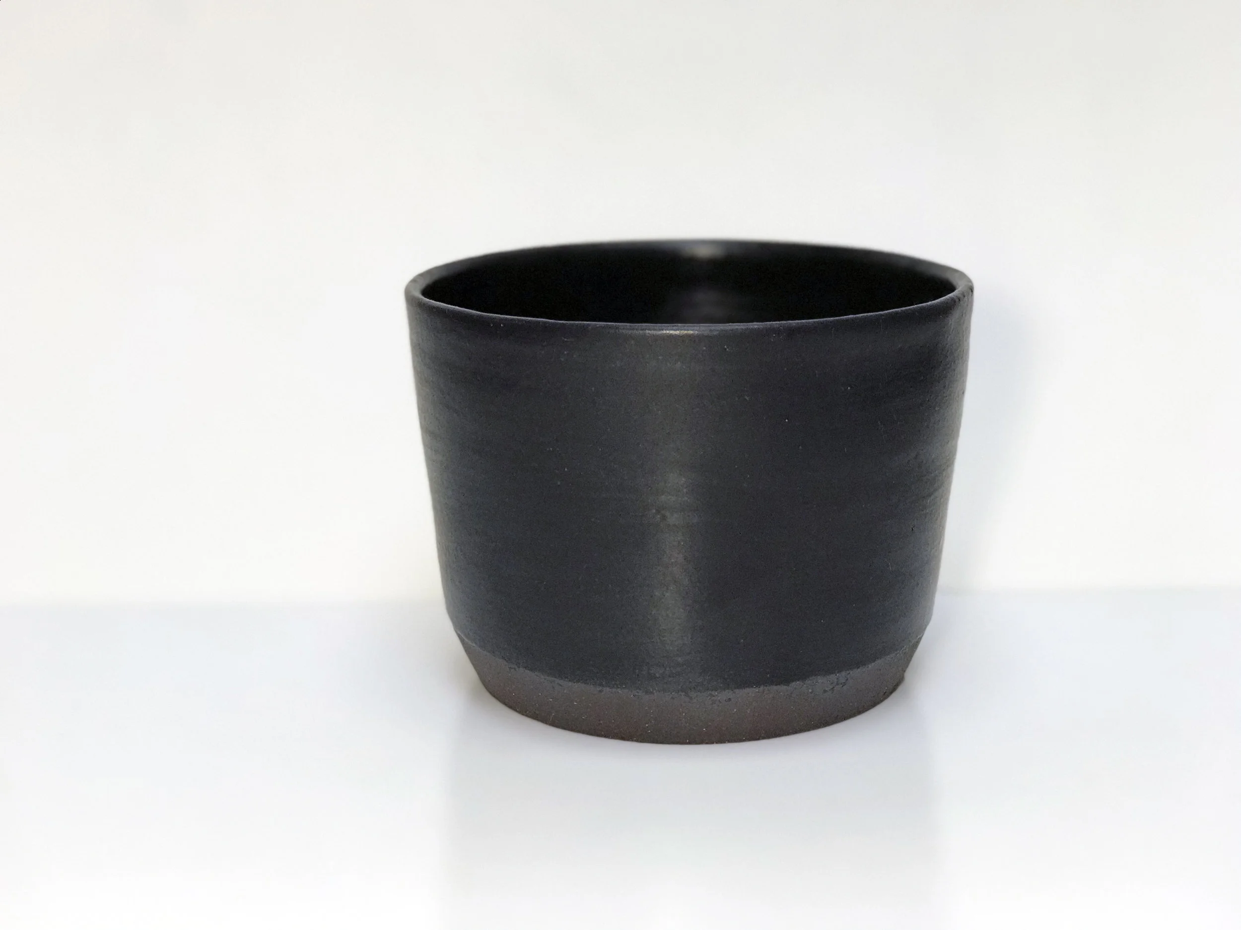 black plant 1.jpg