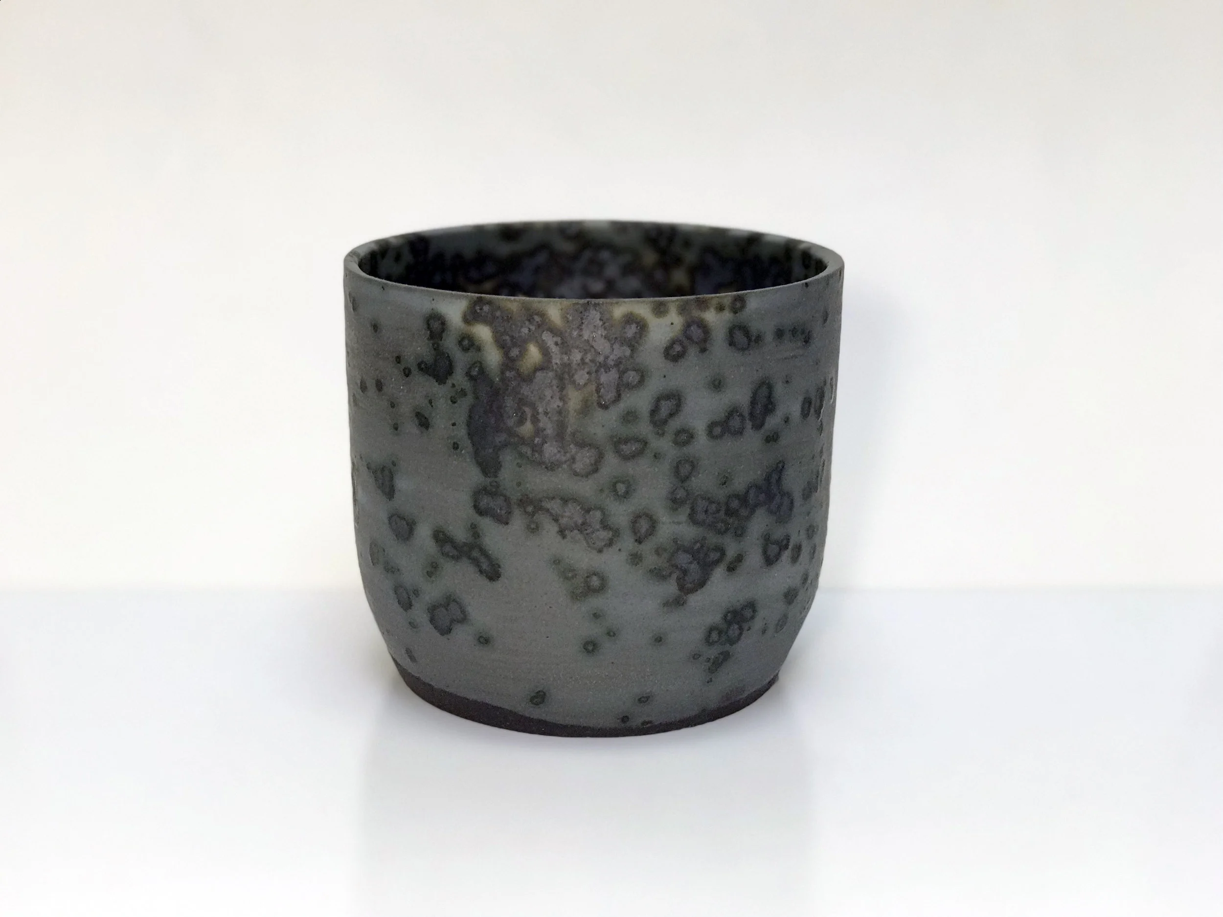 mold plant 1.jpg