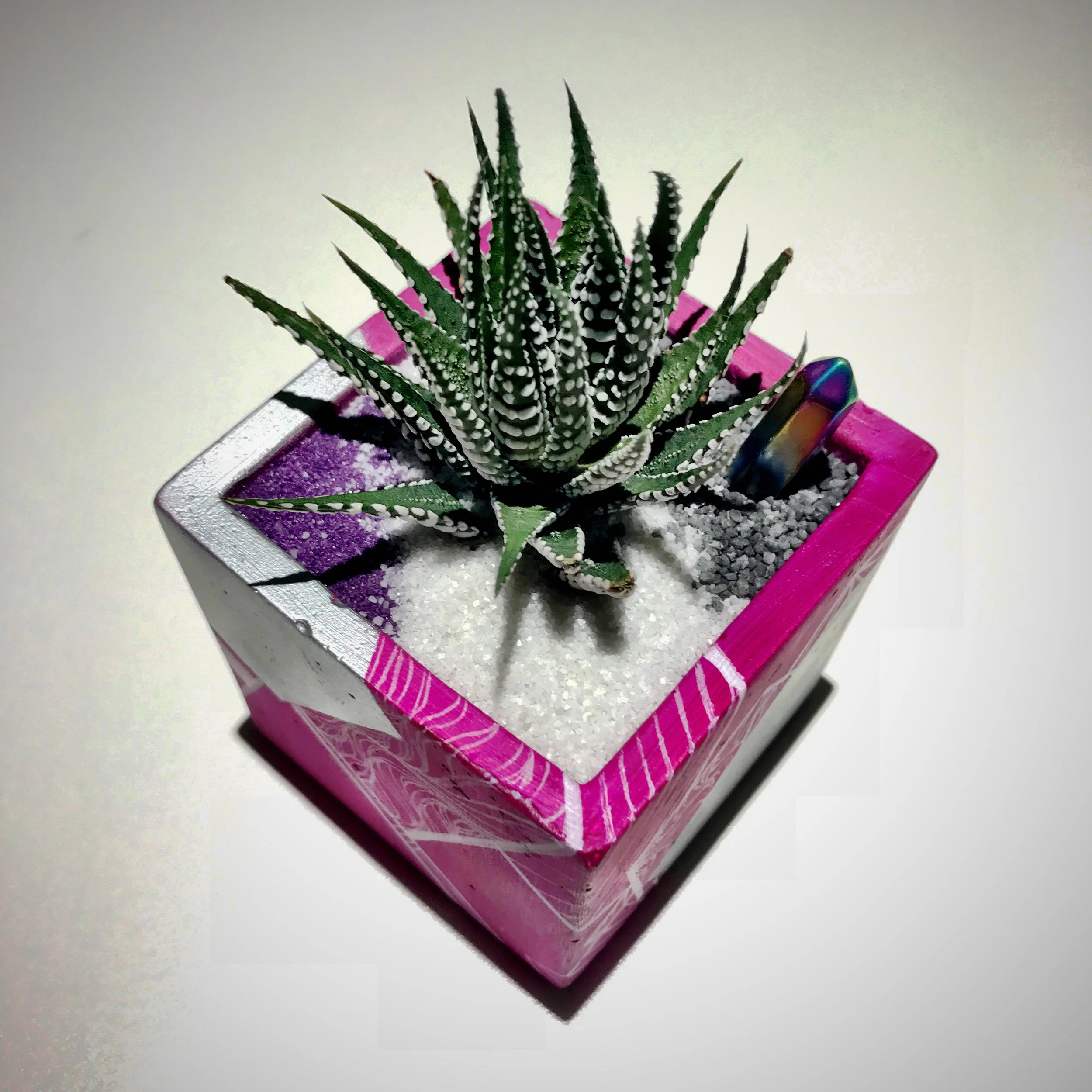 Special Collaboration with Artist, Tiffany Lynn Cuffley