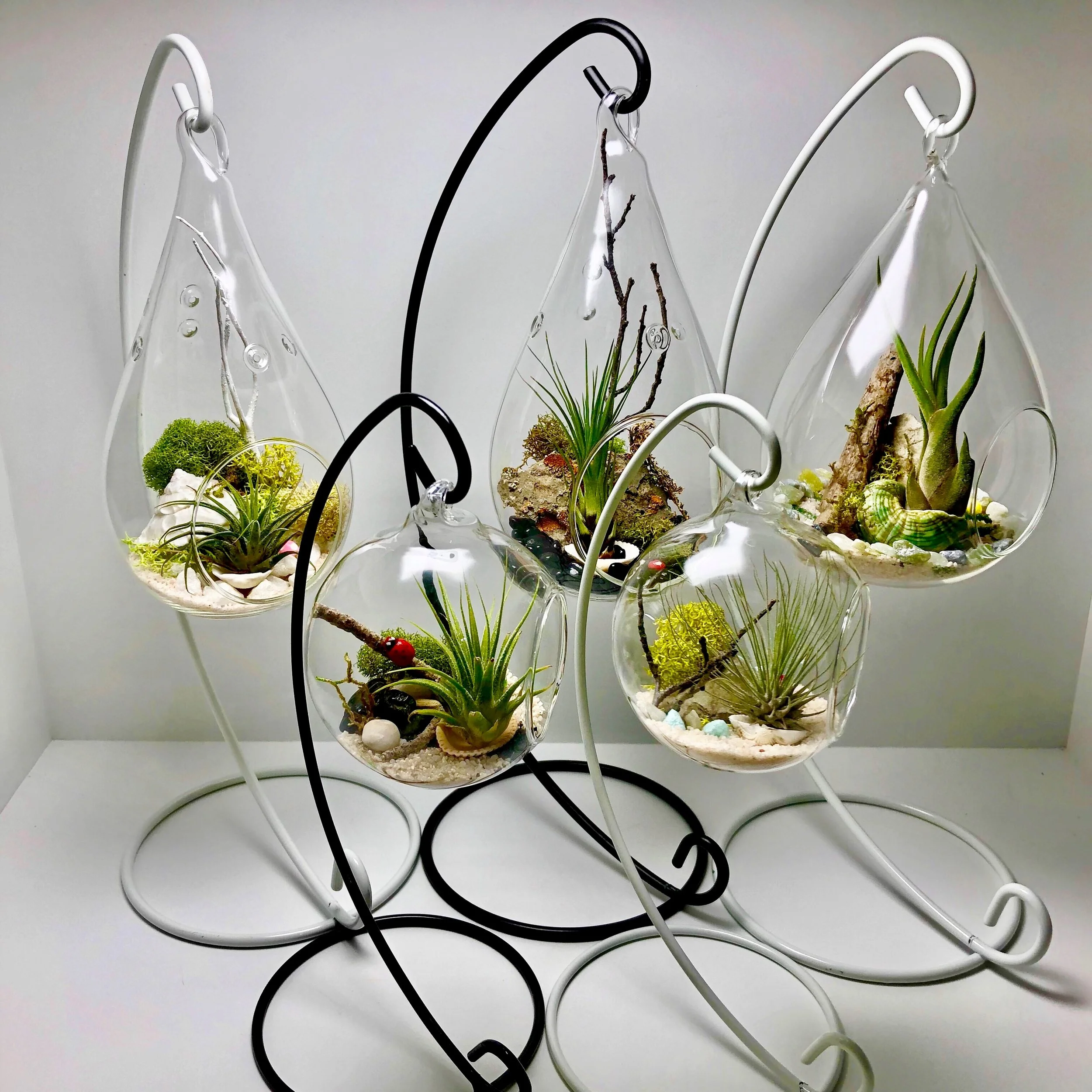 Suspended Air Garden Series