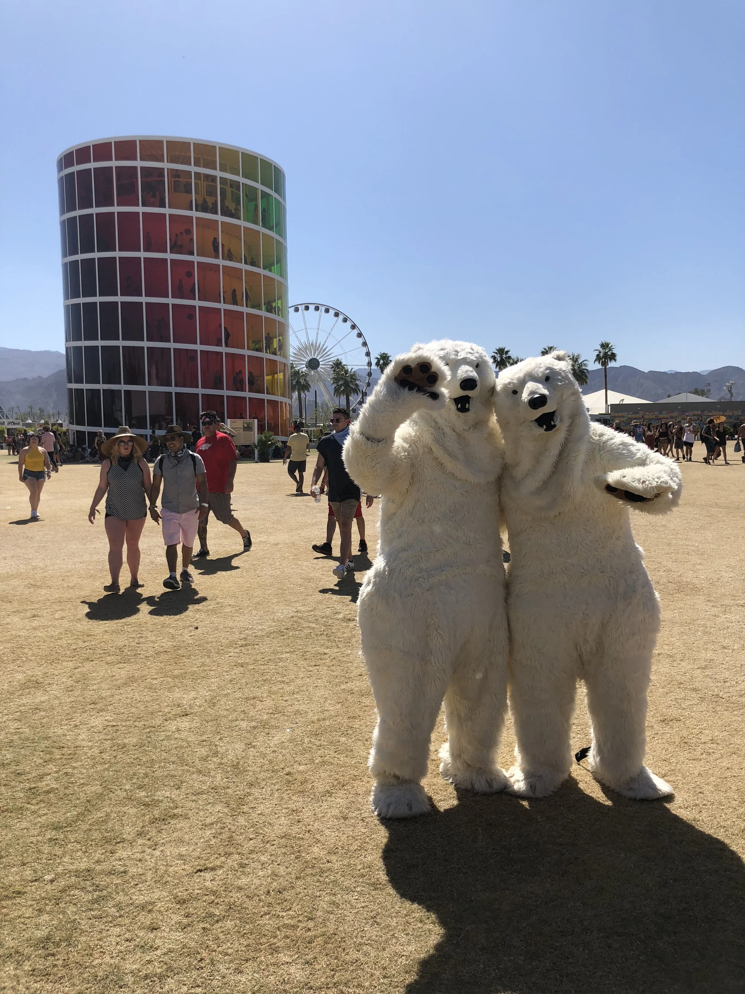 IMG_0444.jpeg