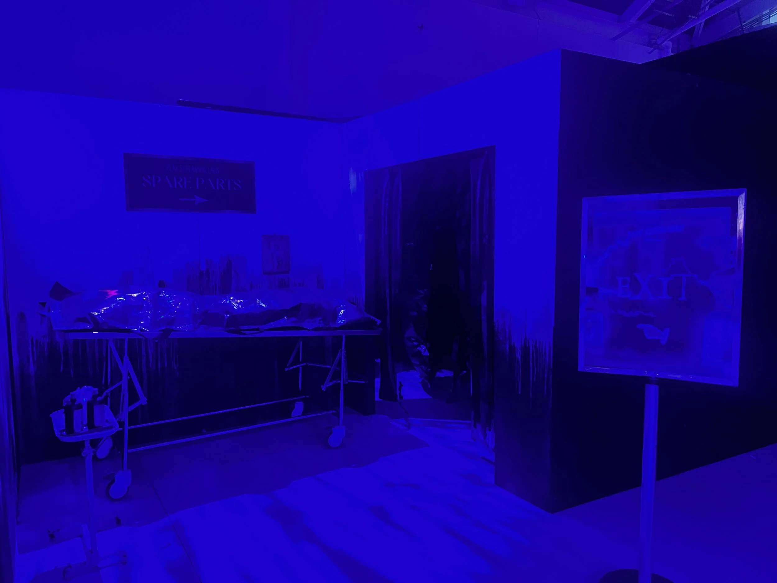 IMG_0531.jpeg