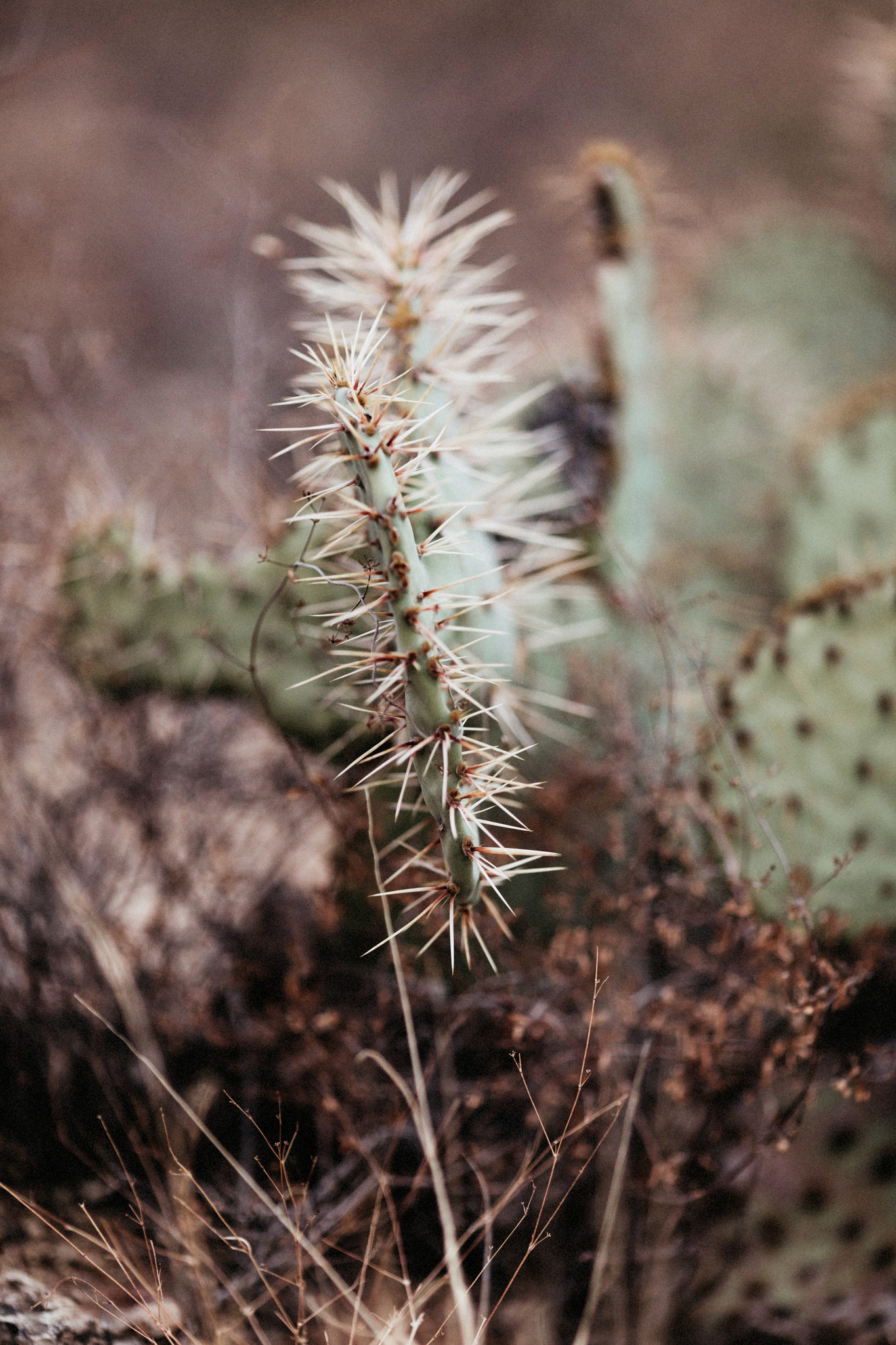 4I3A9791-KFotography.jpg