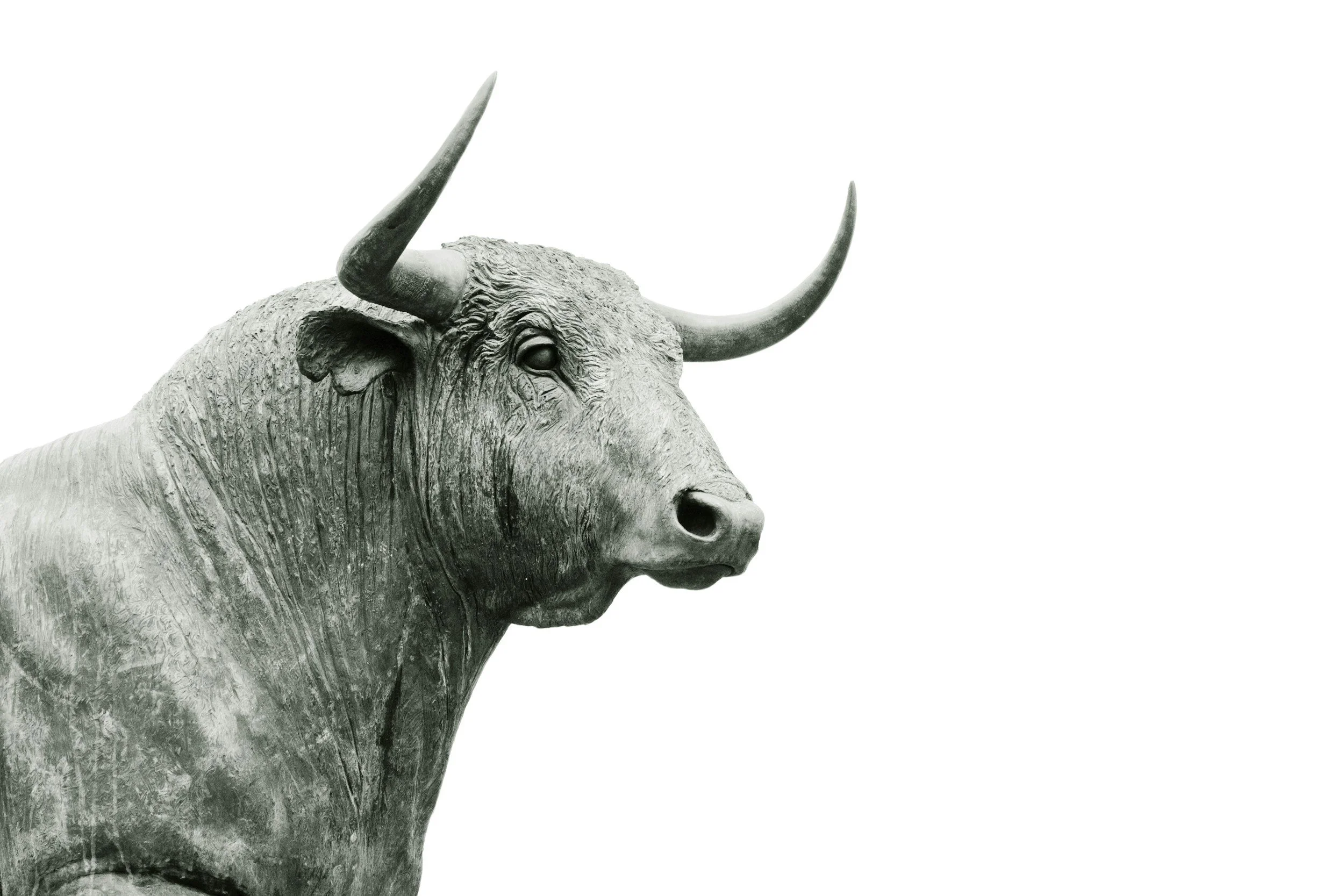 A bull representing positive stock market returns