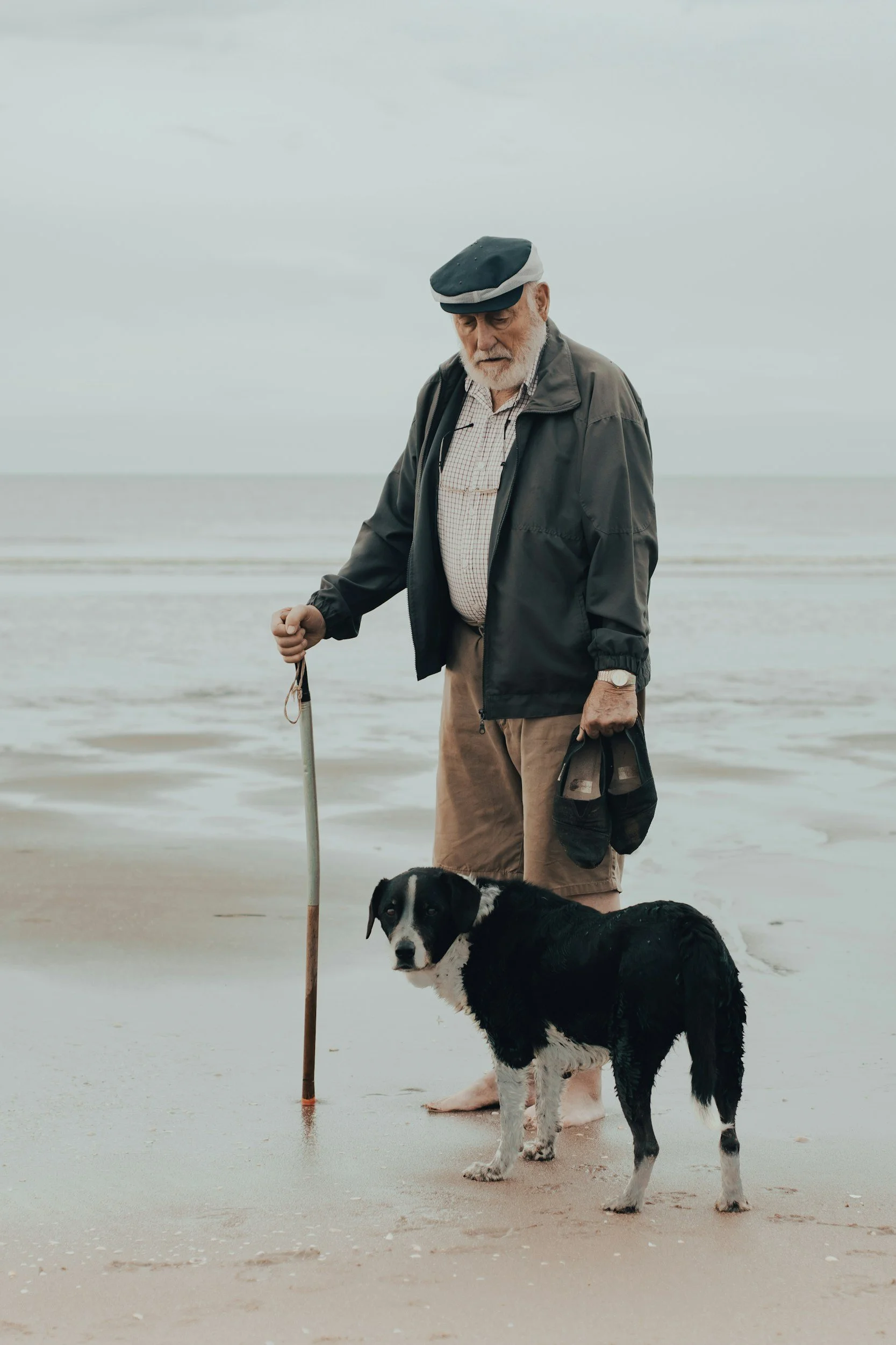Dogs: A Retiree’s Best Friend