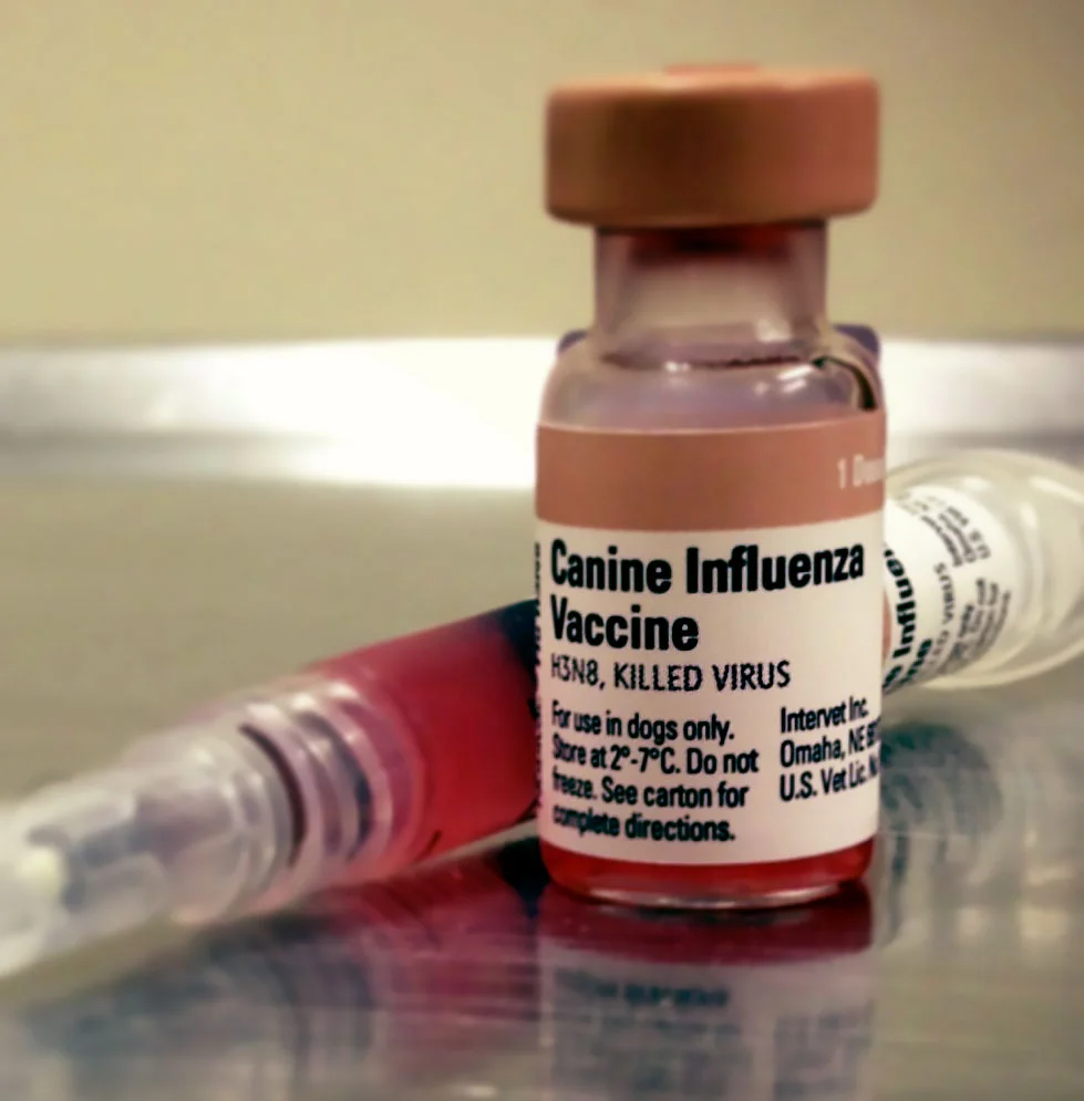civ-vaccine.jpg