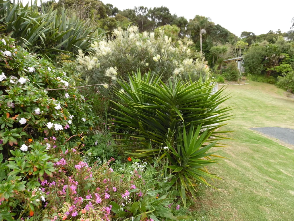 Beautiful gardens behind us with lots of native birds