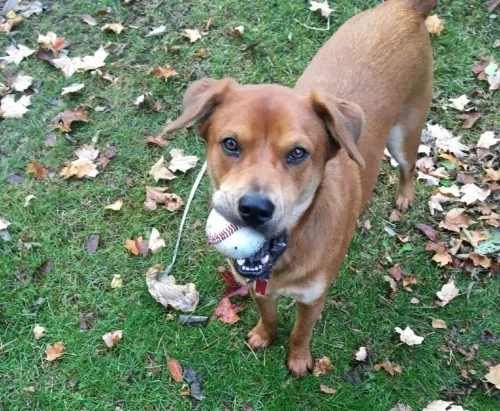 Bo-- always ready to play.