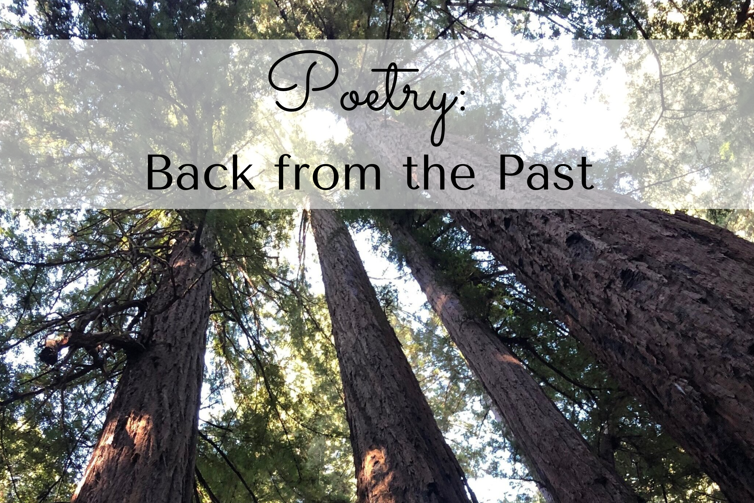 Julie Oleszek Blog Post P