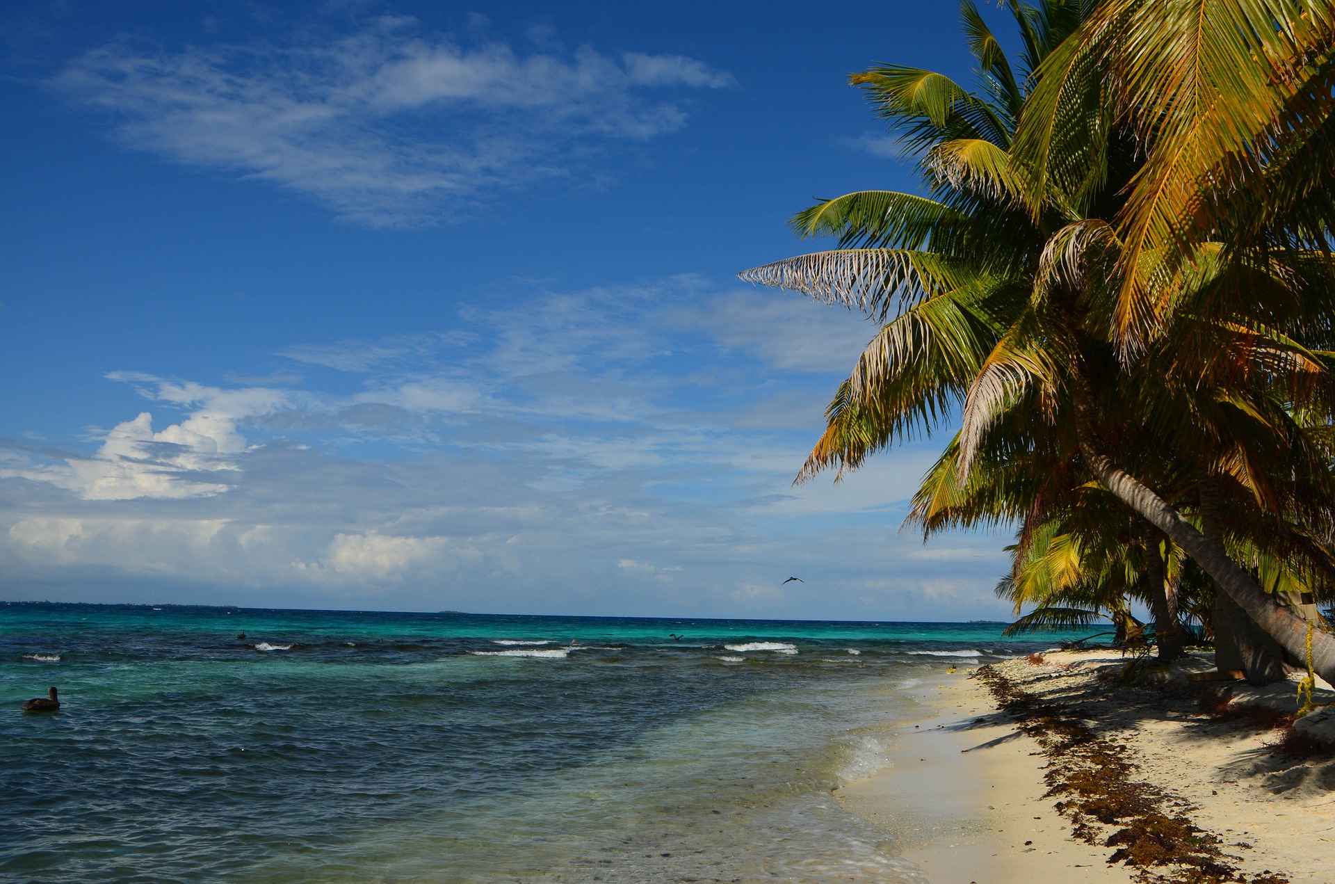 Карибское море. Белиз Карибы. Округ Кайо Белиз. Пляж Пеликан, Белиз. Побережье Карибского моря.