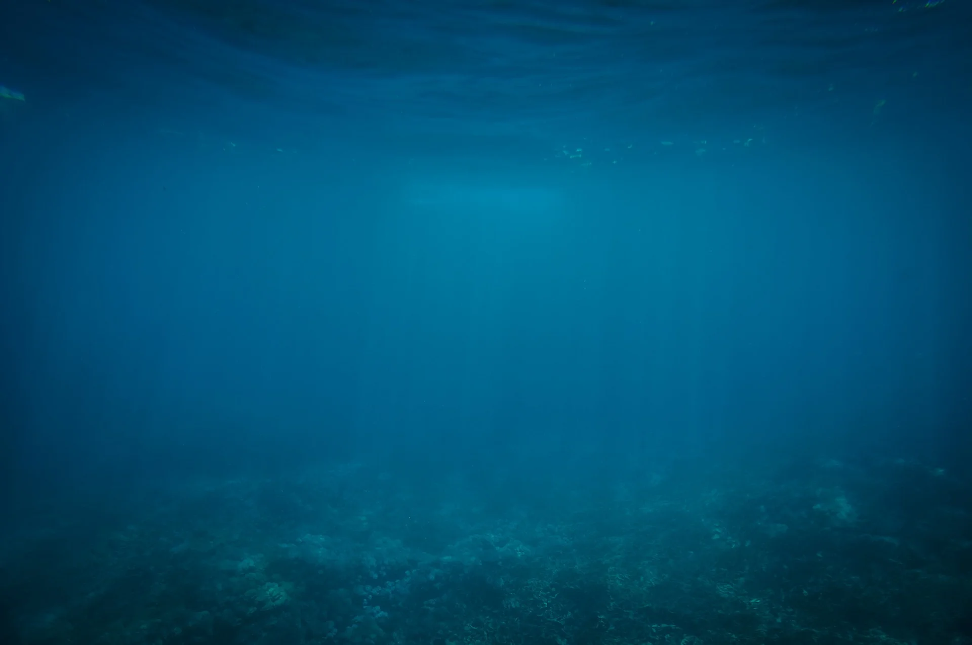 underwater-802092_1920.jpg