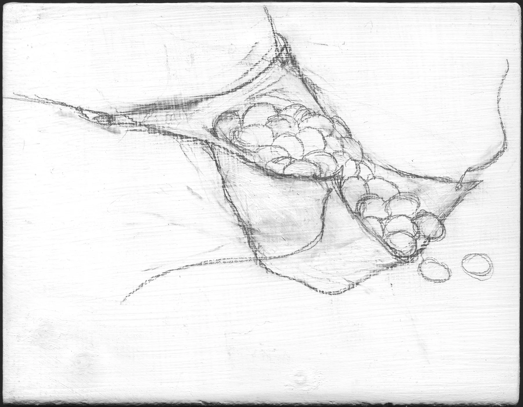 Apron Strings , 2008, graphite on gessoed panel, 3 3/4 x 4 3/4 in.