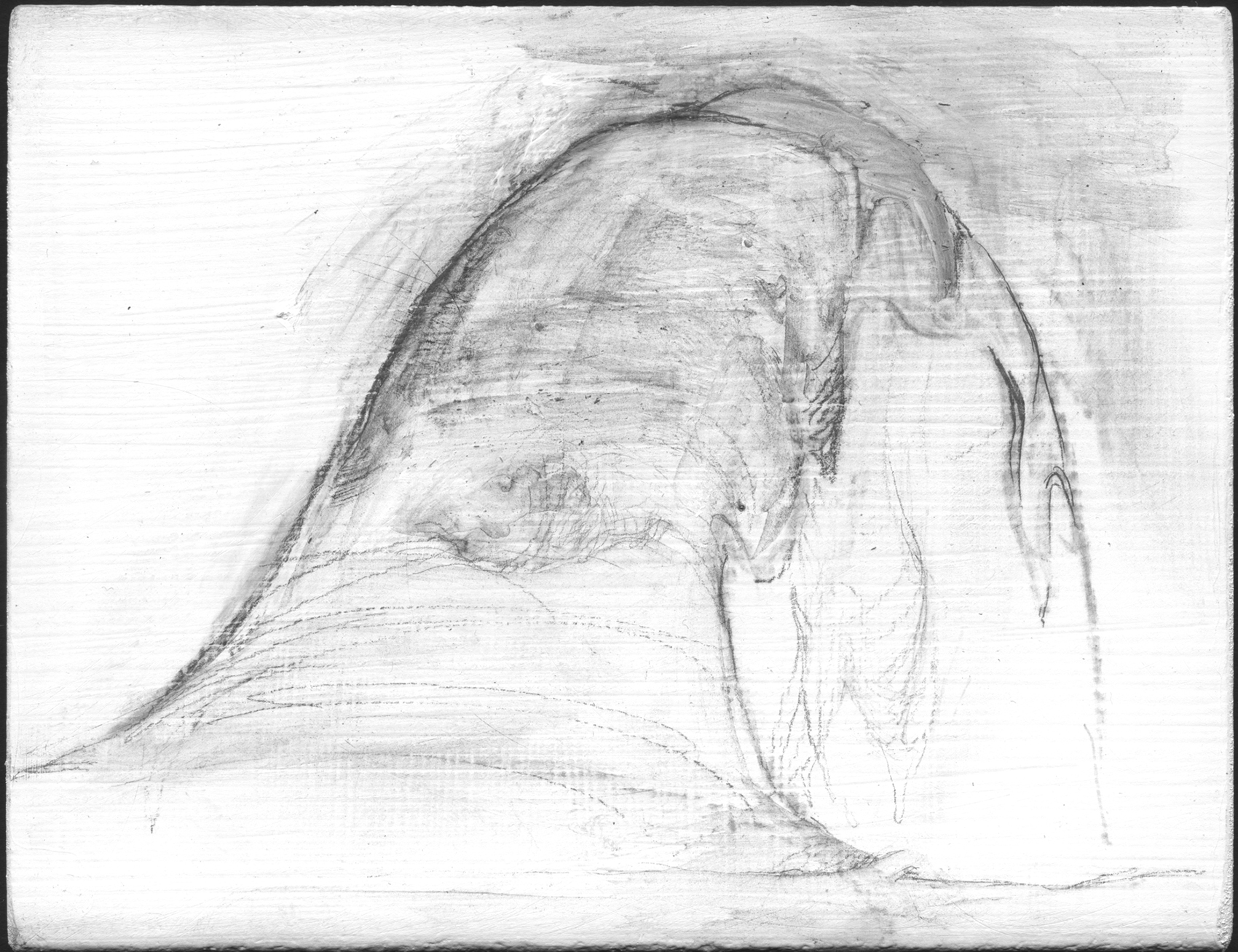    Covered with ice and snow   , 2008,   graphite on gessoed panel, 3 3/4 x 4 3/4 in.  