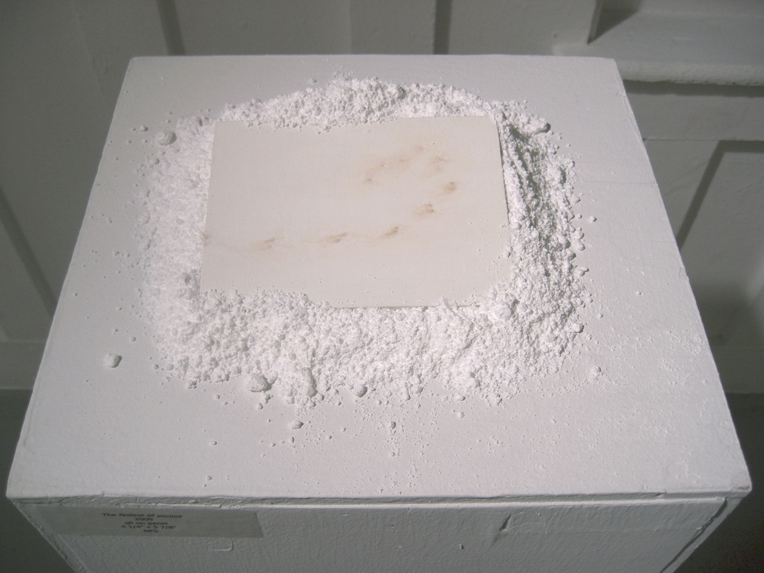    The fastest of ponies  (installed),   2009,     powdered sugar, oil on panel, 7 1/4 x 9 in.  