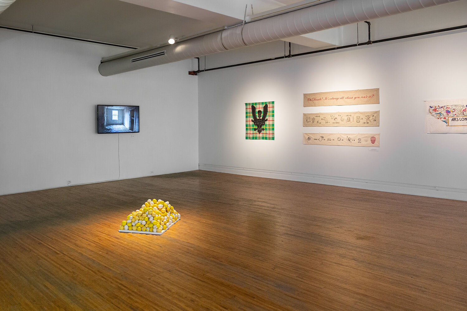  Foreground installation by Lenore Thomas.  Left to right on walls, artwork by: Alisha B. Wormsley (video) and Mary M. Mazziotti. Photo by Ivette Spradlin.  