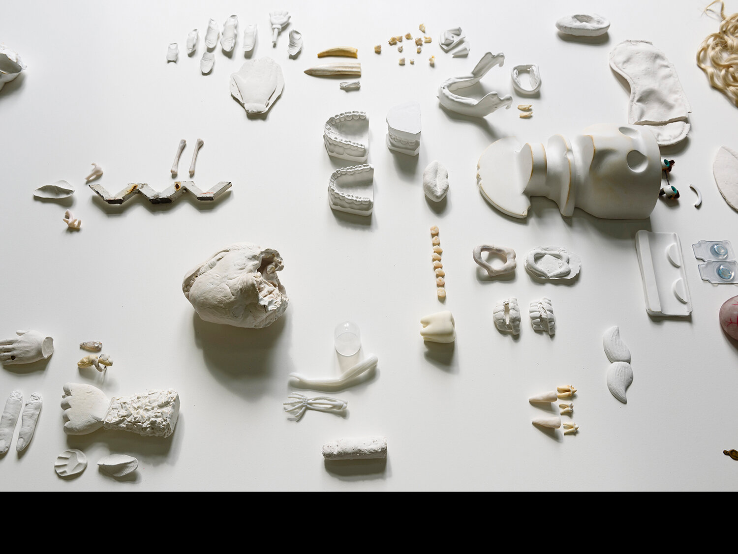   Adam Milner , detail of:  Some Body , 2016, teeth, bones, soap, polymer clay, cast plaster, chewing gum, and found objects–109 parts, 70.5” L x 47” w x varied height. Photo by PJ Rountree. 