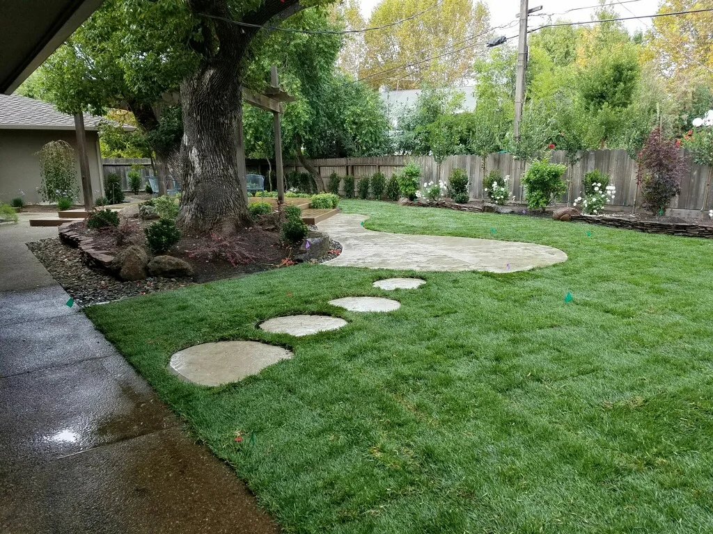 Backyard_Lawn_Bushes.jpg