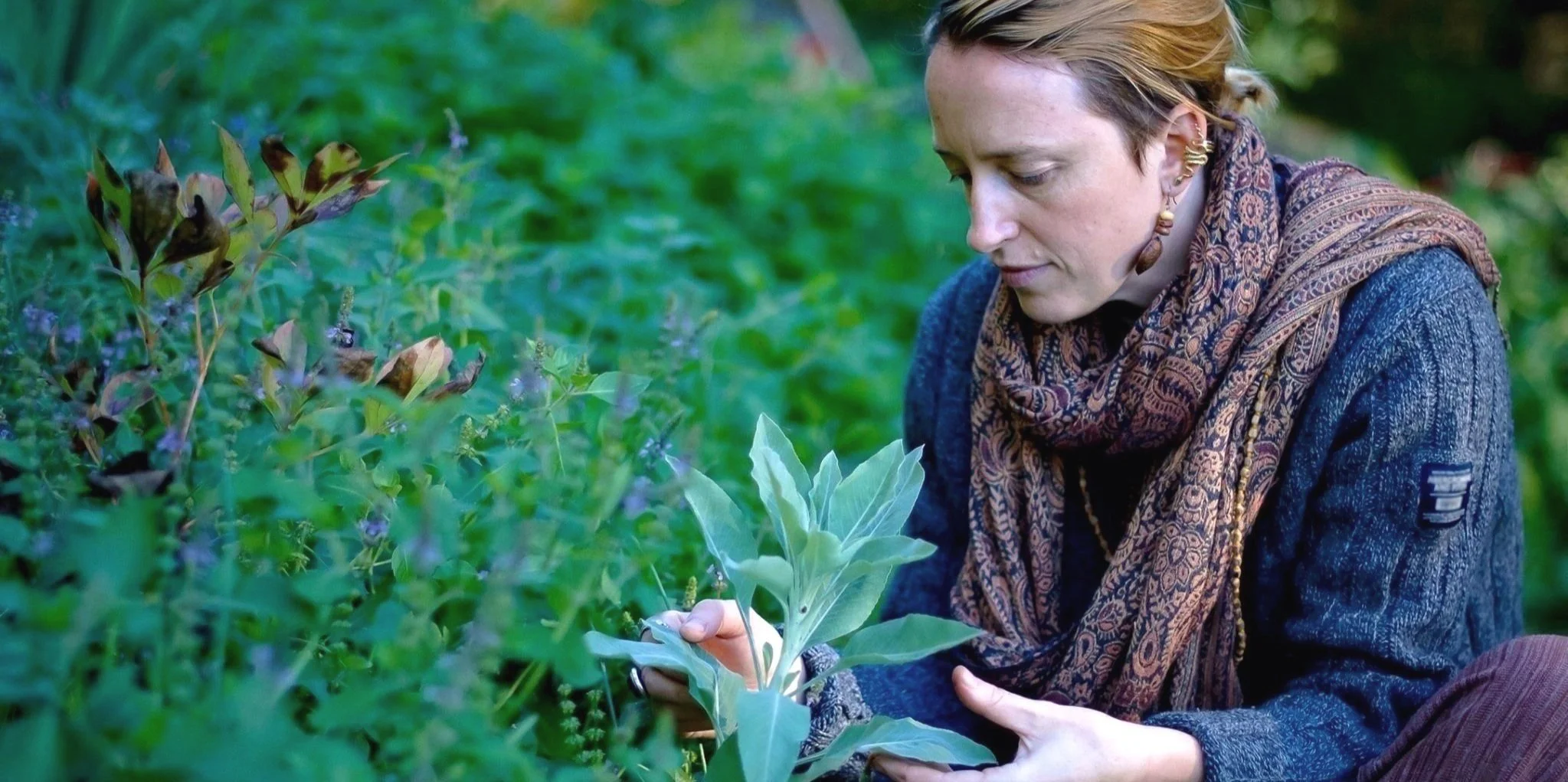 Year of Gaia 2025 Monthly Live Zoom Classes