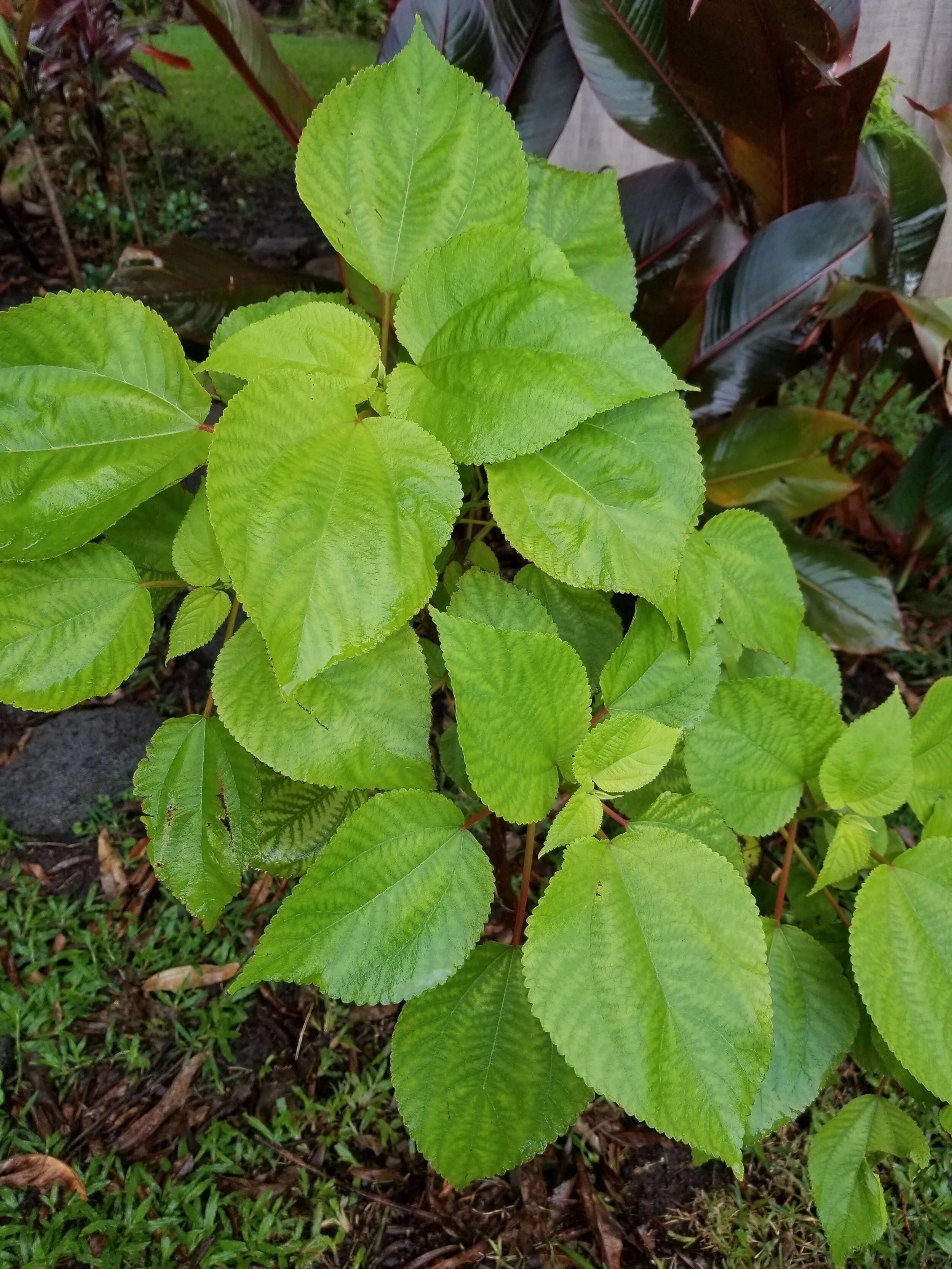 20190130_163530.jpg
