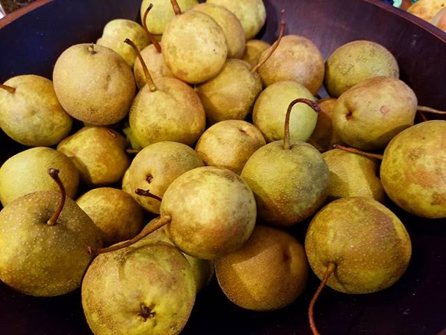 Autumn harvests 🍁 The trees here grew some gorgeous Asian pears this year. Super gratitude for the incredible sweeeeeets the plants create. Just heaven!!!