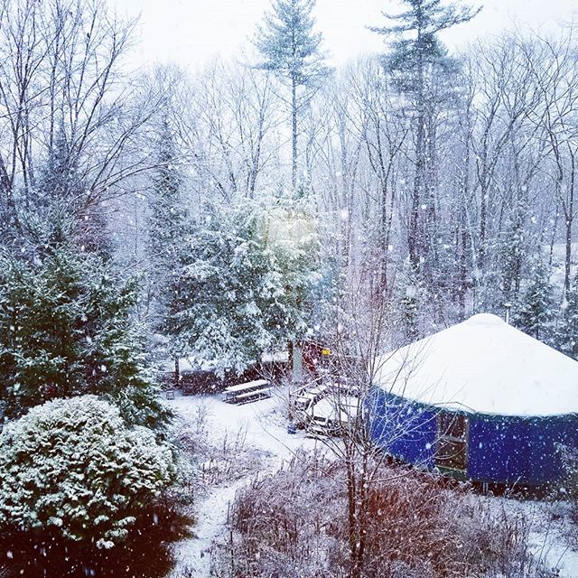 First beautiful snowfall at The Gaia School in Vermont. Courses are about to end for the season, and I will be heading to Hawaii again to teach. We do love the peace that descends on the land during the winter, as all the plants are dreaming undergro