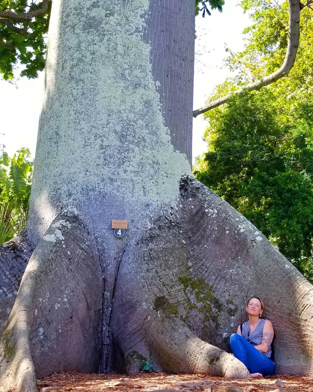 Resting by the feet of the elders. 🌿