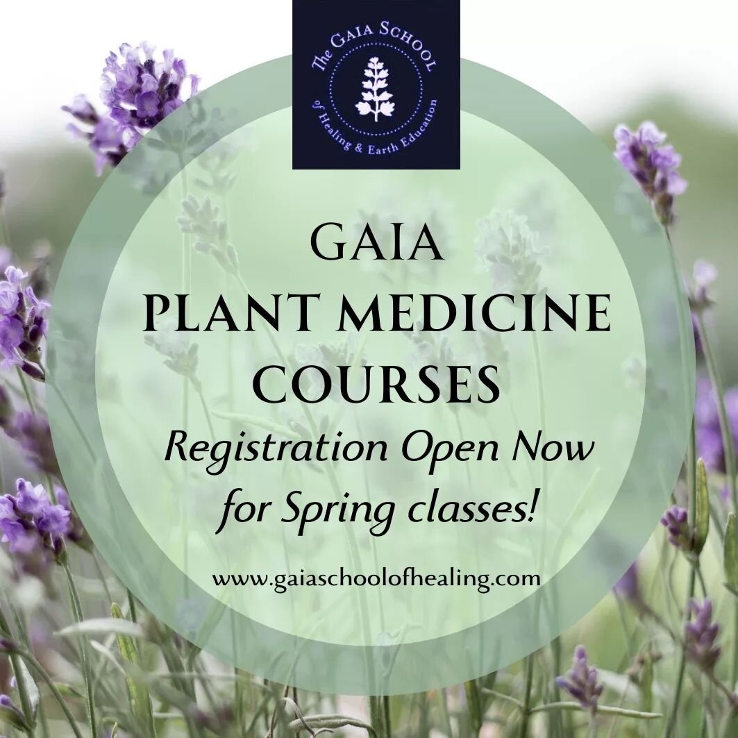 SPRING REGISTRATION OPEN! 🌿🌿
Registration open now for our upcoming plant medicine classes starting soon! Our courses have been running since 2001 and have nurtured thousands of herbalists and plant lovers. 🌿 

🌿 THE PATH OF HERBALISM ~ 
Build a 