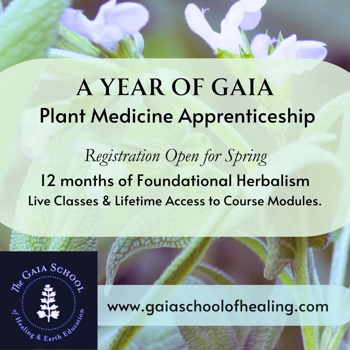 .

A&nbsp;🌿&nbsp;Y E A R&nbsp;🌿&nbsp;O F&nbsp;🌿&nbsp;G A I A&nbsp;🌿
Sacred Plant Medicine Online Course ~ Registration Open for 2024

Join us for a full year of journeying with healing plants! Course begins April 1st.&nbsp;www.gaiaschoolofhealing