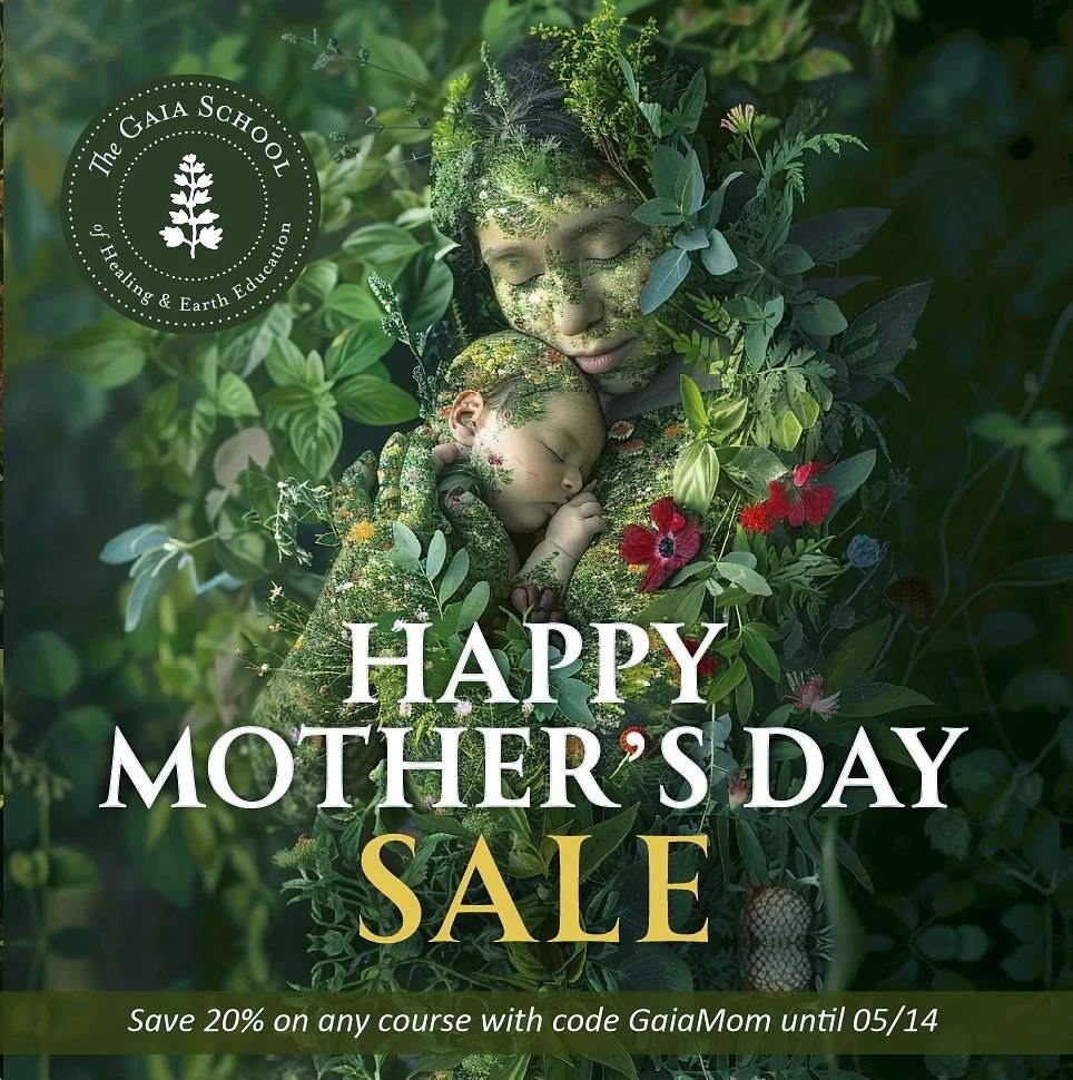 Happy Mother's Day Sale! 🌹💗🌿 
Take 20% off any course with code GAIAMOM. 

Sending gratitude to all who mother and support the tending of life all over the world, often invisible and unsupported. We see you. May you be cared for as you care for ot