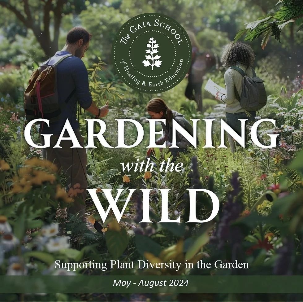 G a r d e n i n g 🌿w i t h  t h e 🌿 W i l d 

Class starts tomorrow! 
Still time to join us, with 20% off for Mother's day! ❤️ 

Learn how to co-create gardens with nature and the plants themselves. 🌱🌿🌾

Six Zoom Classes ~ May 14th, June 4th, Ju