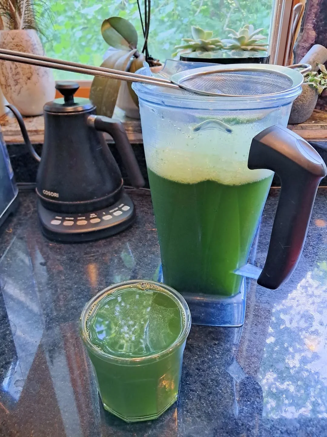 Free green juice that is much more nutritious than juice made from store bought veggies! 🌿

This one is made from adding a handful of dandelion greens to a blender full of water, blending and straining. It is absolutely delicious. 🌿

Other favorite