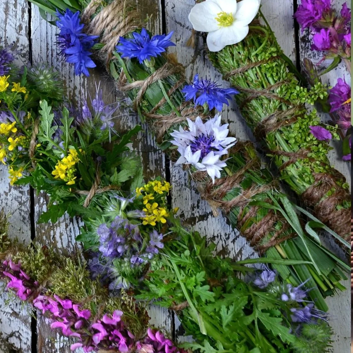 Copy+of+Copy+of+Copy+of+Green+Purple+Aesthetic+Nature+Quote+Dream+of+Forest+Video+%283%29.jpg