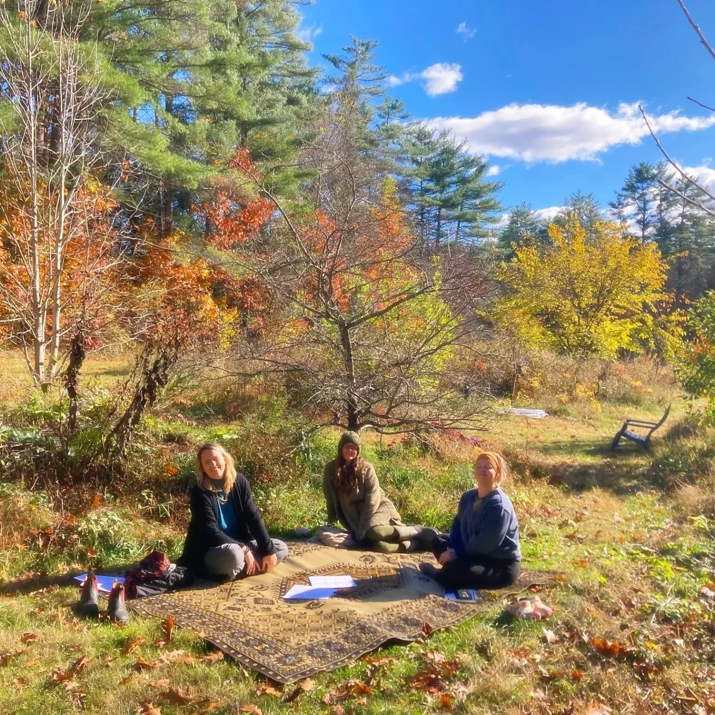 Fall at Gaia in Vermont. So much daily beauty for the eyes... 🌿