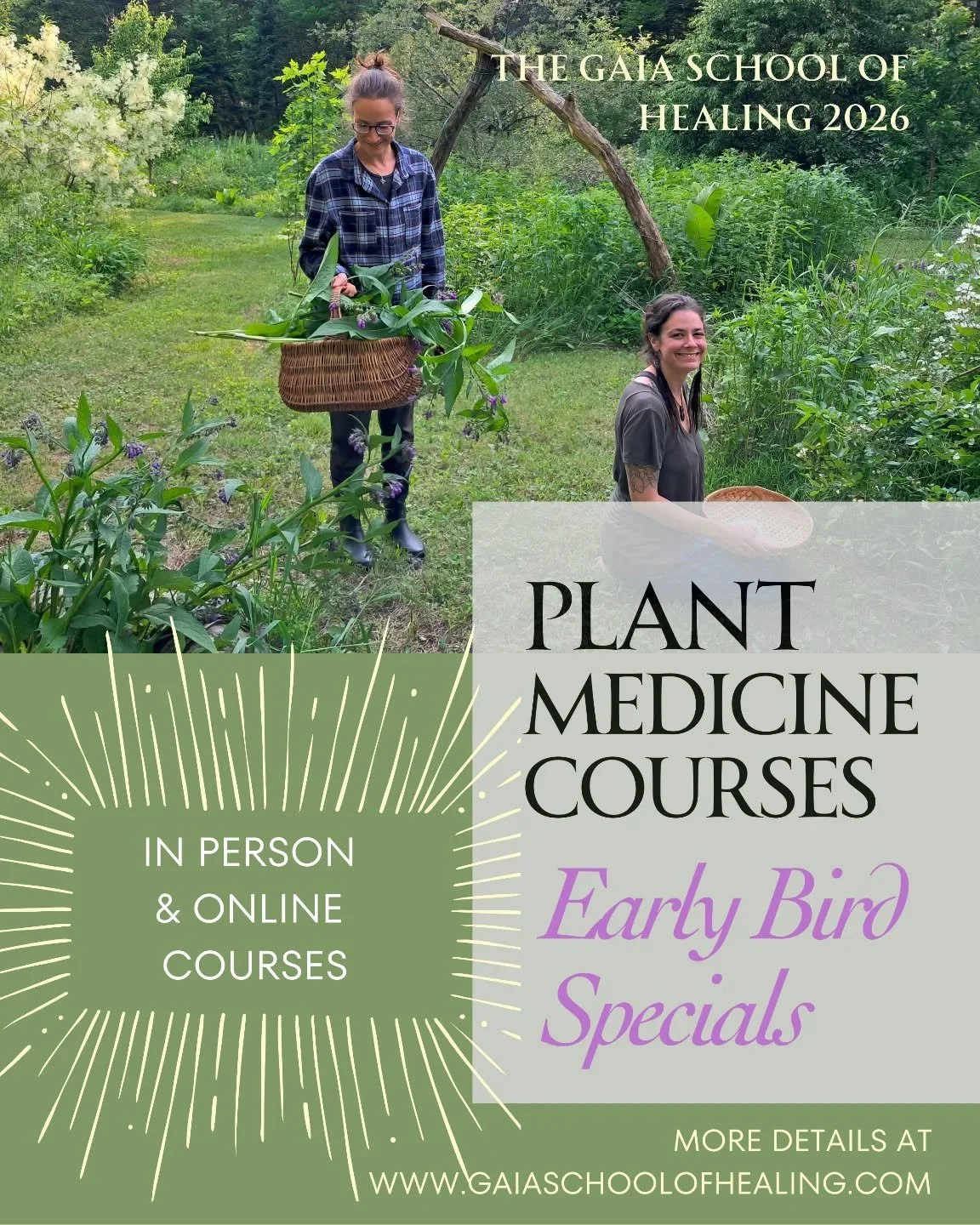 🌿🌿 A YEAR OF GAIA &mdash; EARLY BIRD SPECIAL 🌿🌿

Step into a year-long journey of plant medicine, ancestral wisdom, and earth-centered healing.

A Year of Gaia&nbsp;is a 12-month online apprenticeship offered through Gaia School of Healing, desig