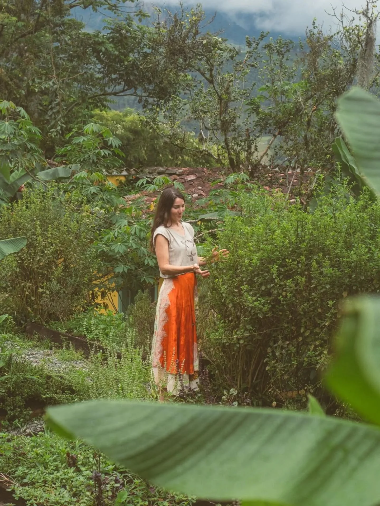 🌿✨&nbsp;Big news from Gaia School of Healing&nbsp;✨🌿

We are so excited to share that&nbsp;Year of Gaia, our immersive, year-long journey into sacred&nbsp;plant medicine, ethnobotany, and holistic herbalism, will be&nbsp;offered in Spanish very soo