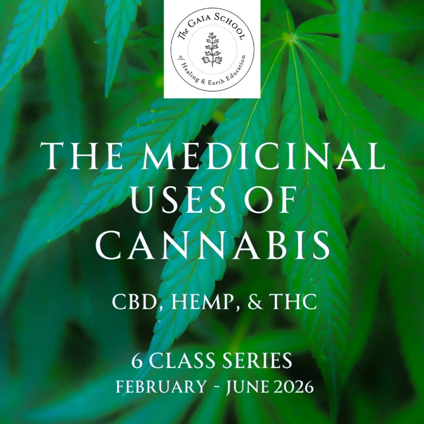 🌿✨&nbsp;Medicinal Uses of Cannabis&nbsp;✨🌿

Join us for an in-depth ethnobotany course exploring the&nbsp;medicinal, cultural, and sacred uses of cannabis&mdash;rooted in history, science, and respectful plant relationship.

This course offers a co