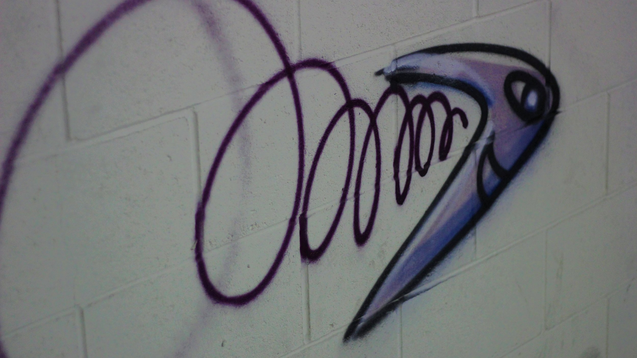Art Night - Boomerang Graffiti.JPG