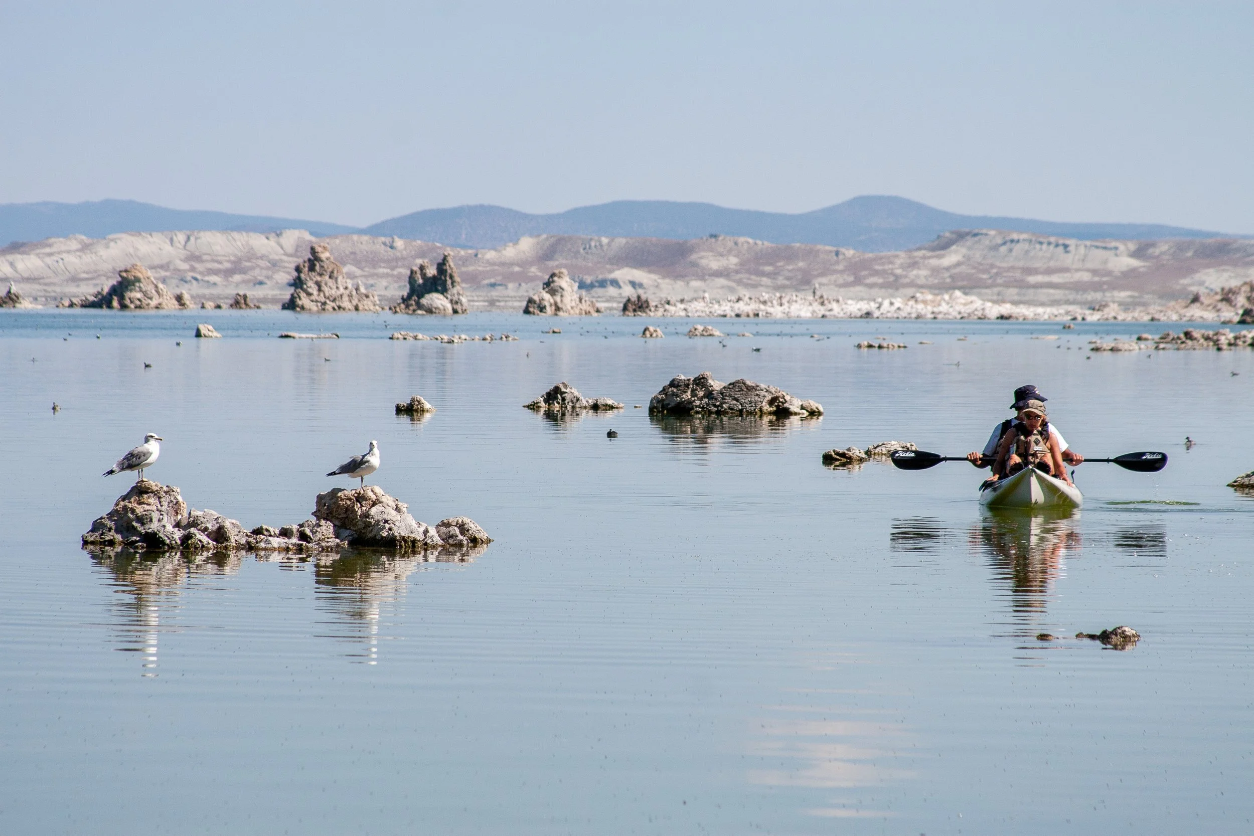 _MG_6062.jpg