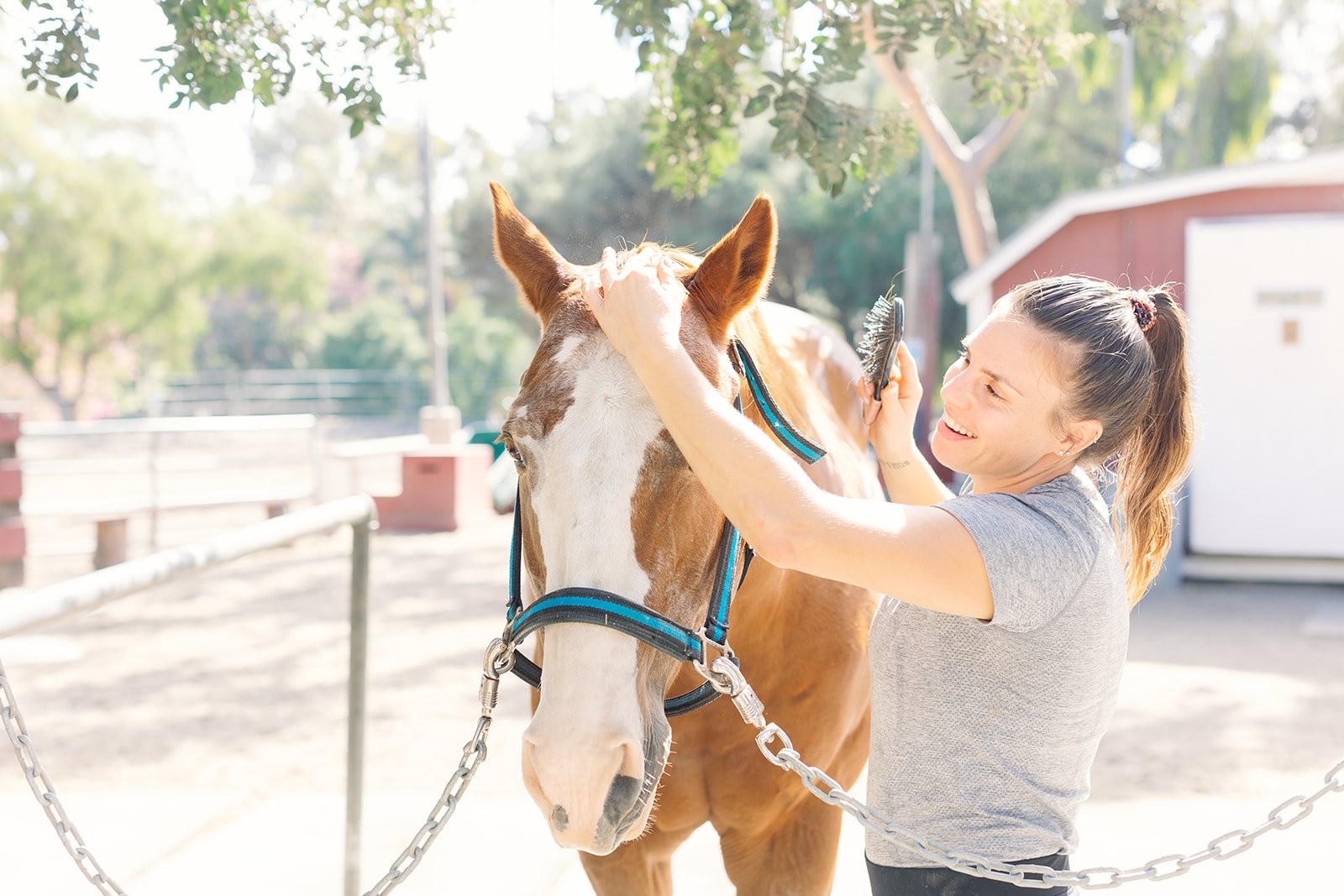 Girl wearing gray shirt brushing horse at ranch