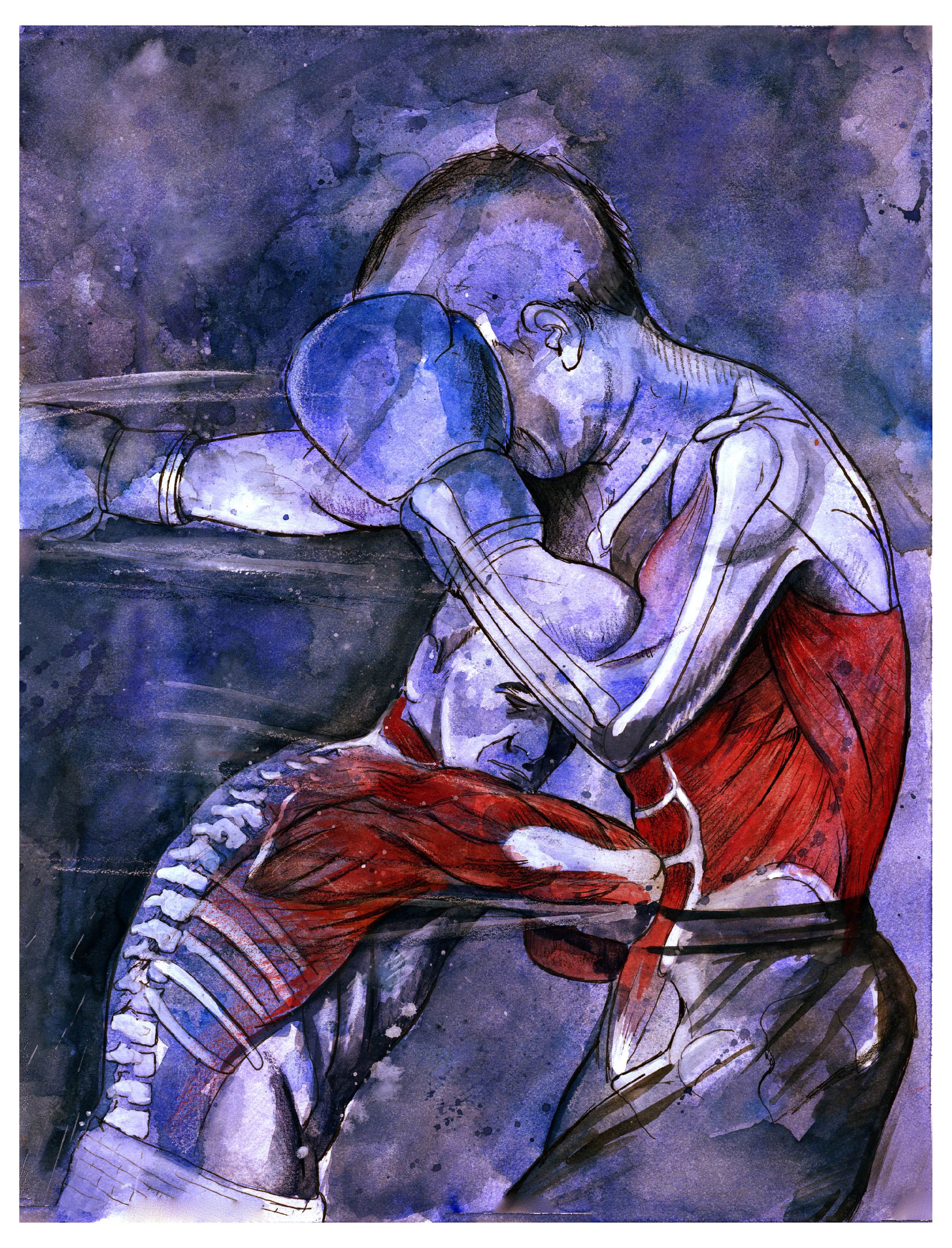 Boxers anatomy.jpg