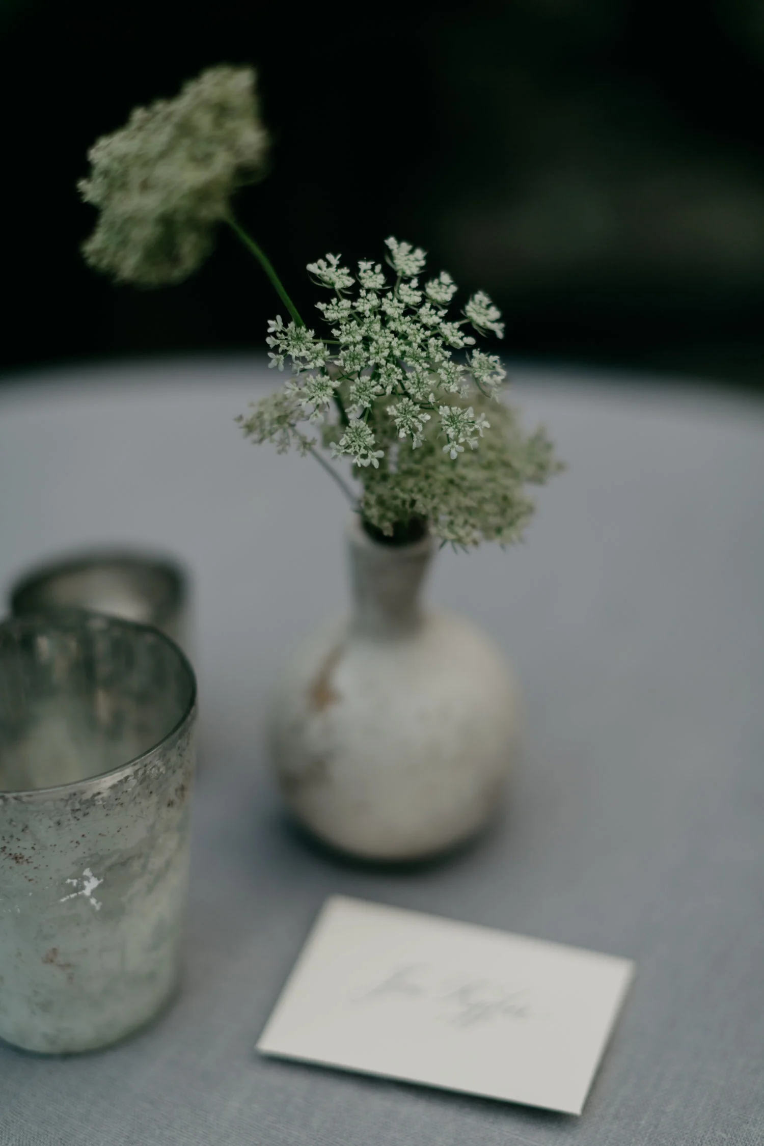 LaurenTripp-107.jpg