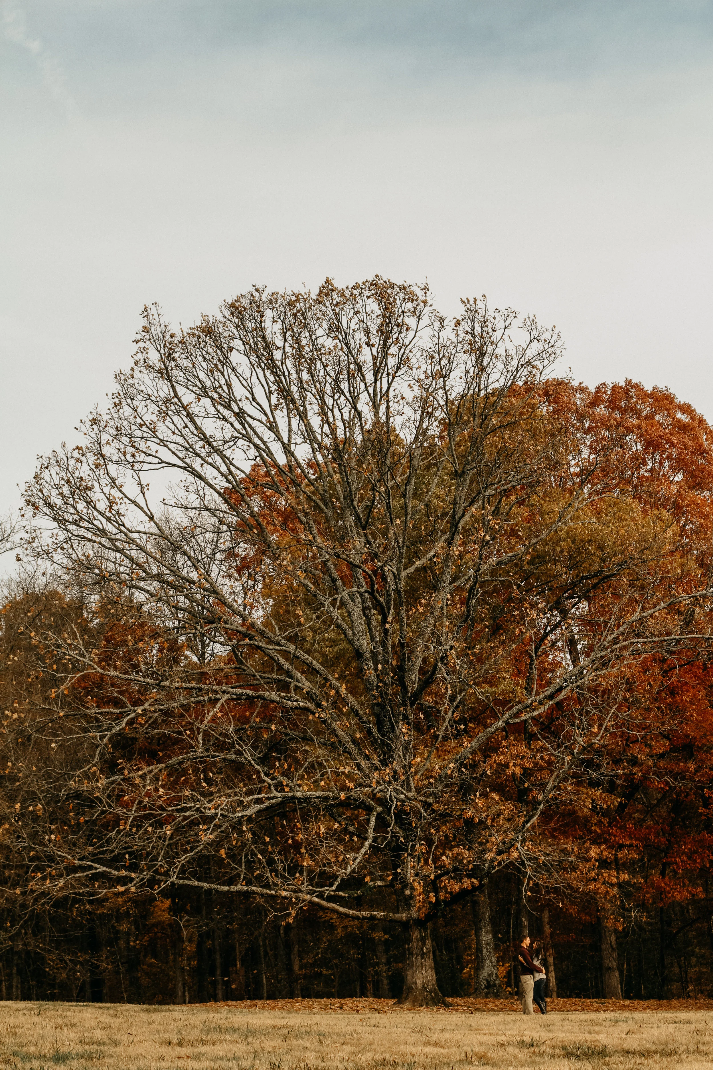 OliviaGarrett-112.jpg