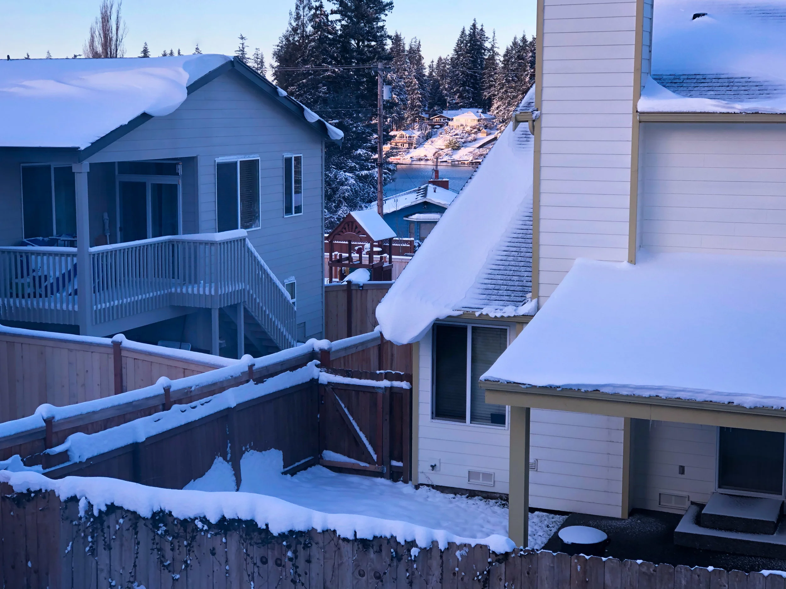 View from my bedroom window