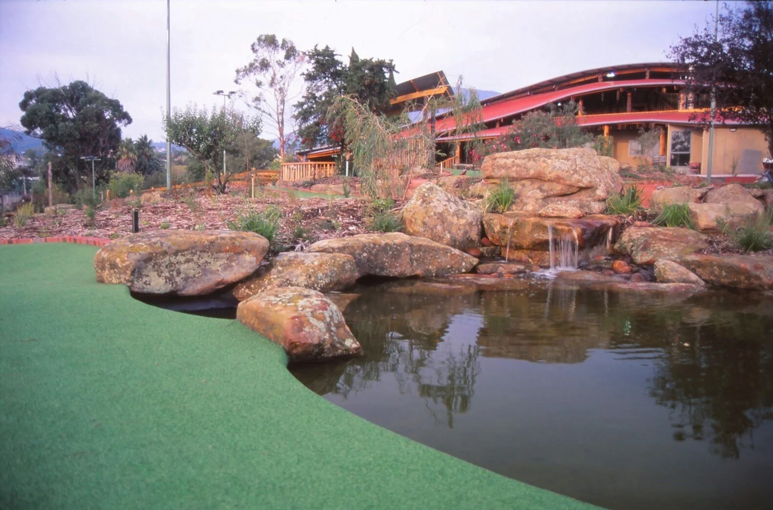 IMG_20180305_0058 (Large).jpg