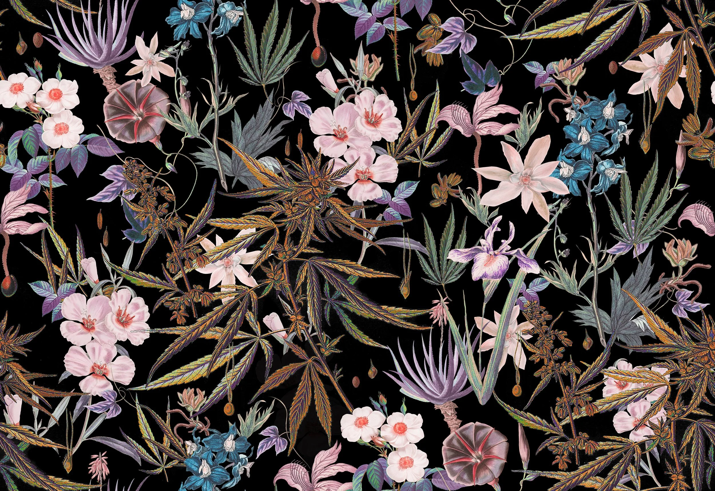 yamba boutique wallpaper 220706_dark_edit.jpg