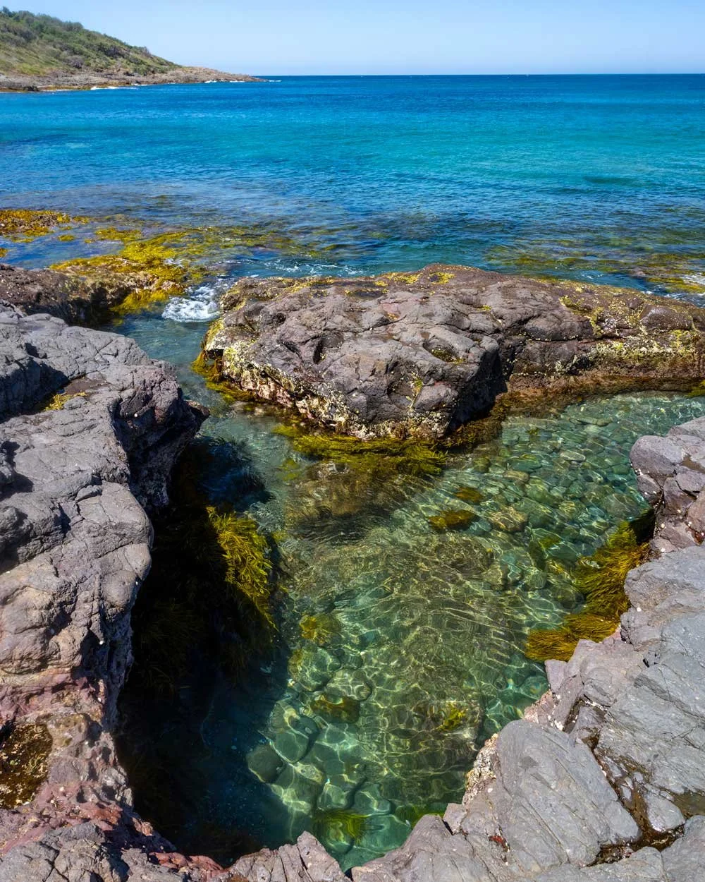 How to find Shellharbour's secret rockpools at Maloneys Bay — Walk My World