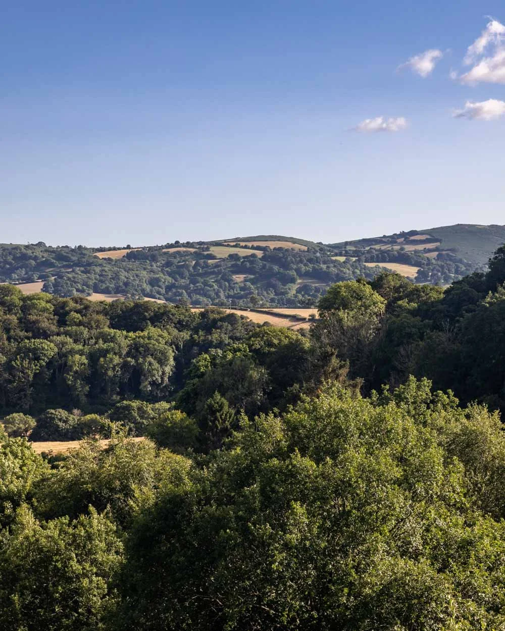 Castle Drogo Walk A Beautiful Circular Trail In Dartmoor Walk My World