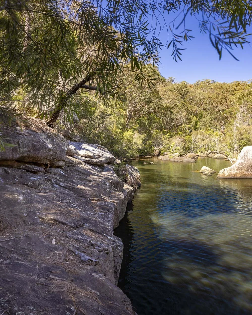 Minerva Pool Wild swimming at Minerva Pool: one of Sydney's best waterholes — Walk ...