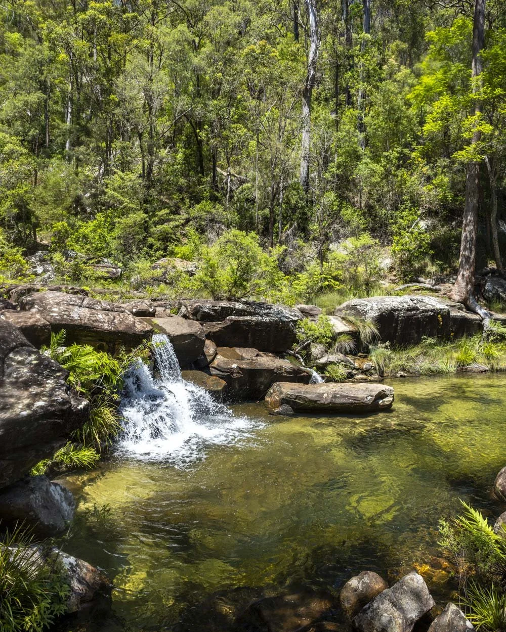 The first falls at Scouts Falls