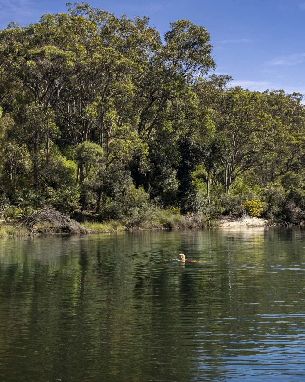 The gorgeous Needles swimming hole and two quieter spots nearby — Walk ...